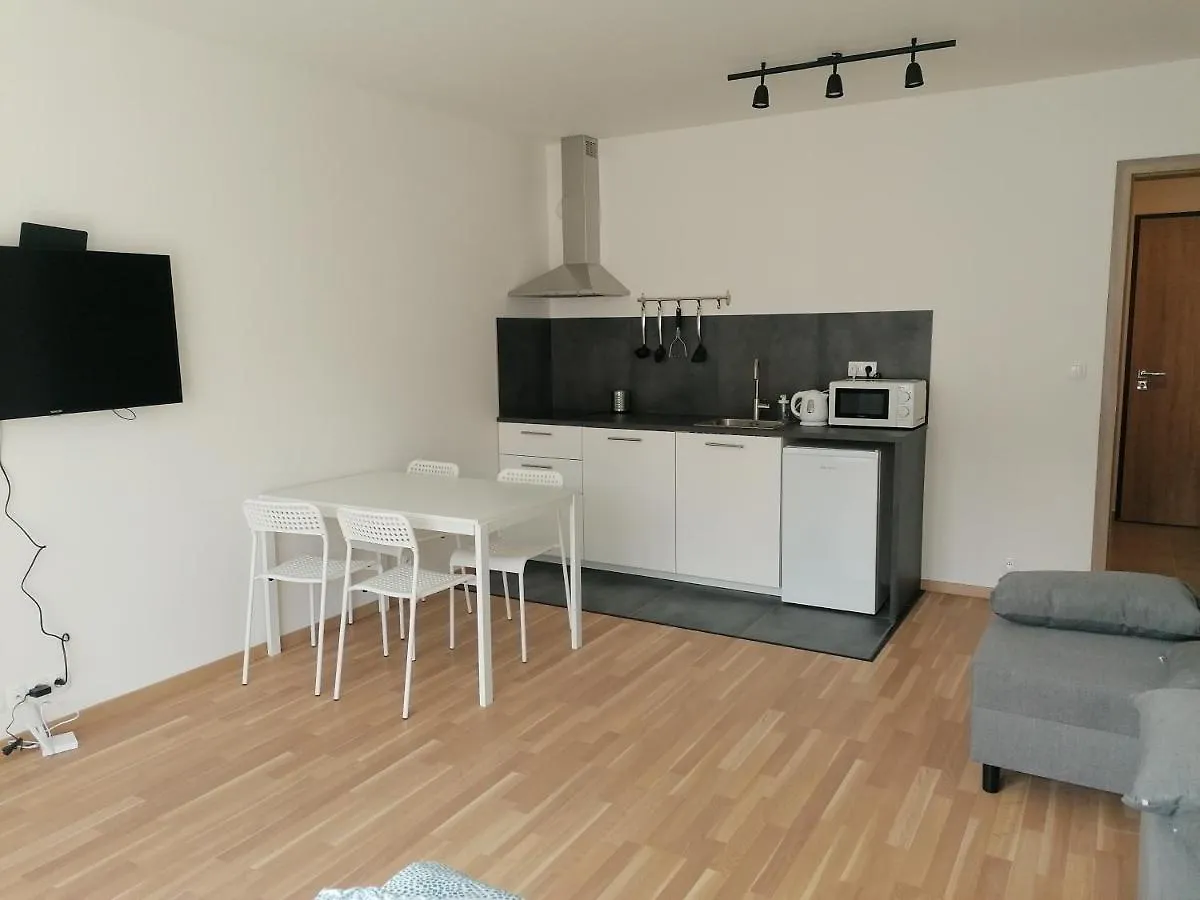 Brand New Studio Apartment #21 With Free Secure Parking In The Center Prag