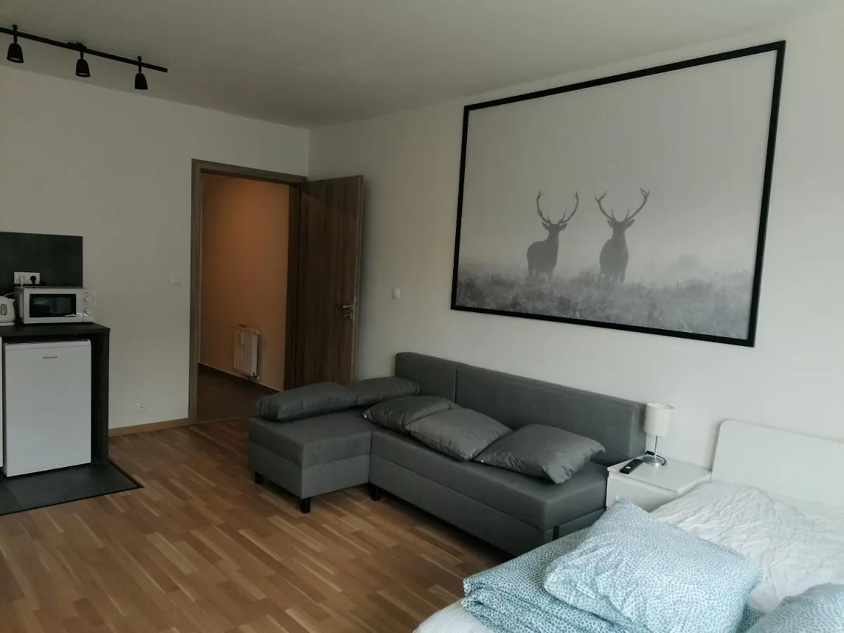 Brand New Studio Apartment #21 With Free Secure Parking In The Center Prag Çek Cumhuriyeti